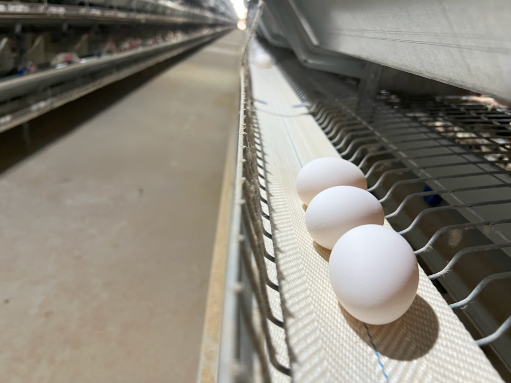 Cooling systems ensure workforce wellbeing and enhance operational health efficiently