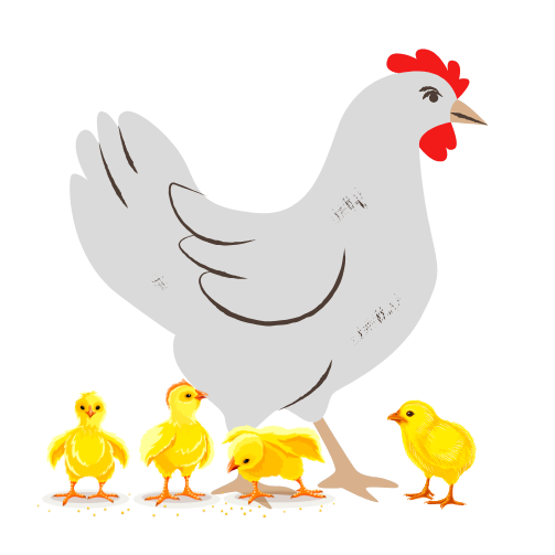 Breeder
