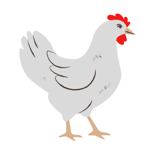 Broiler