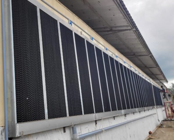 Cooling Pads