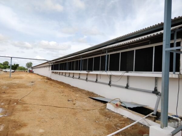 Cooling Pads - Image 3