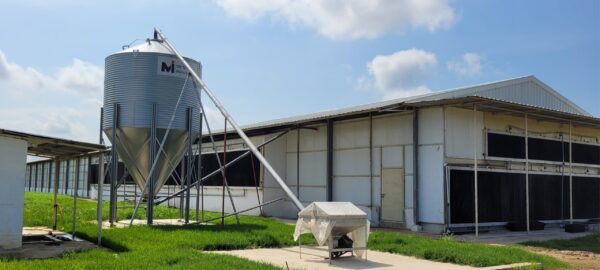 Silo - Image 2